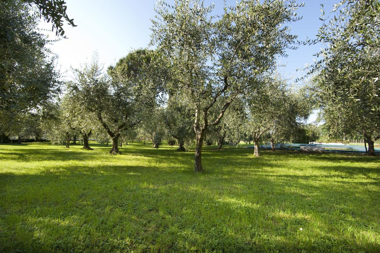 Moniga del Garda Agrigturismo Monte Cicogna 빌라 외부 사진