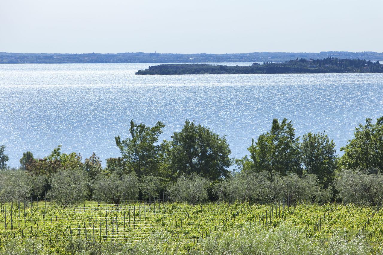 Moniga del Garda Agrigturismo Monte Cicogna 빌라 외부 사진