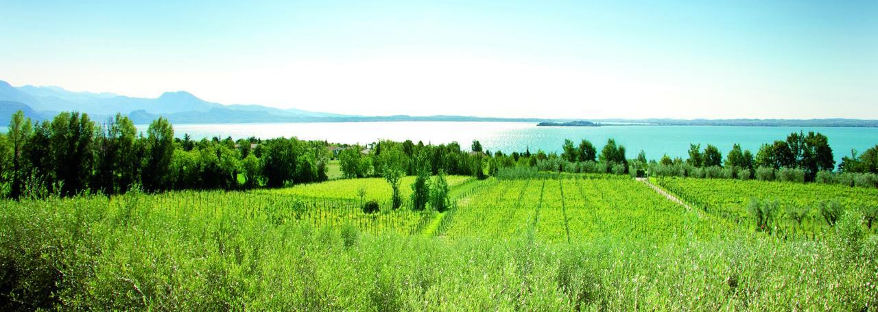 Moniga del Garda Agrigturismo Monte Cicogna 빌라 외부 사진